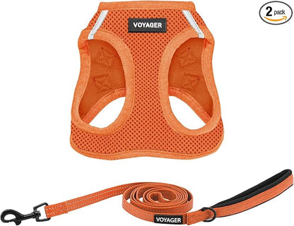 Best Pet Supplies Voyager Step-in Air All Weather Mesh Harness and Reflective Dog 5ft Leash Combo with Neoprene Handle, for Small, Medium and Large Breed Puppies - Orange, XX-Small