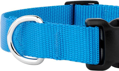 Country Brook Petz - Everyday Nylon Dog Collar and Leash - 10+ Cool Colors (3/4 Inch, Medium, Ice Blue)