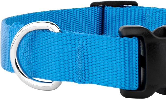 Country Brook Petz - Everyday Nylon Dog Collar and Leash - 10+ Cool Colors (3/8 Inch, Extra Small, Ice Blue)