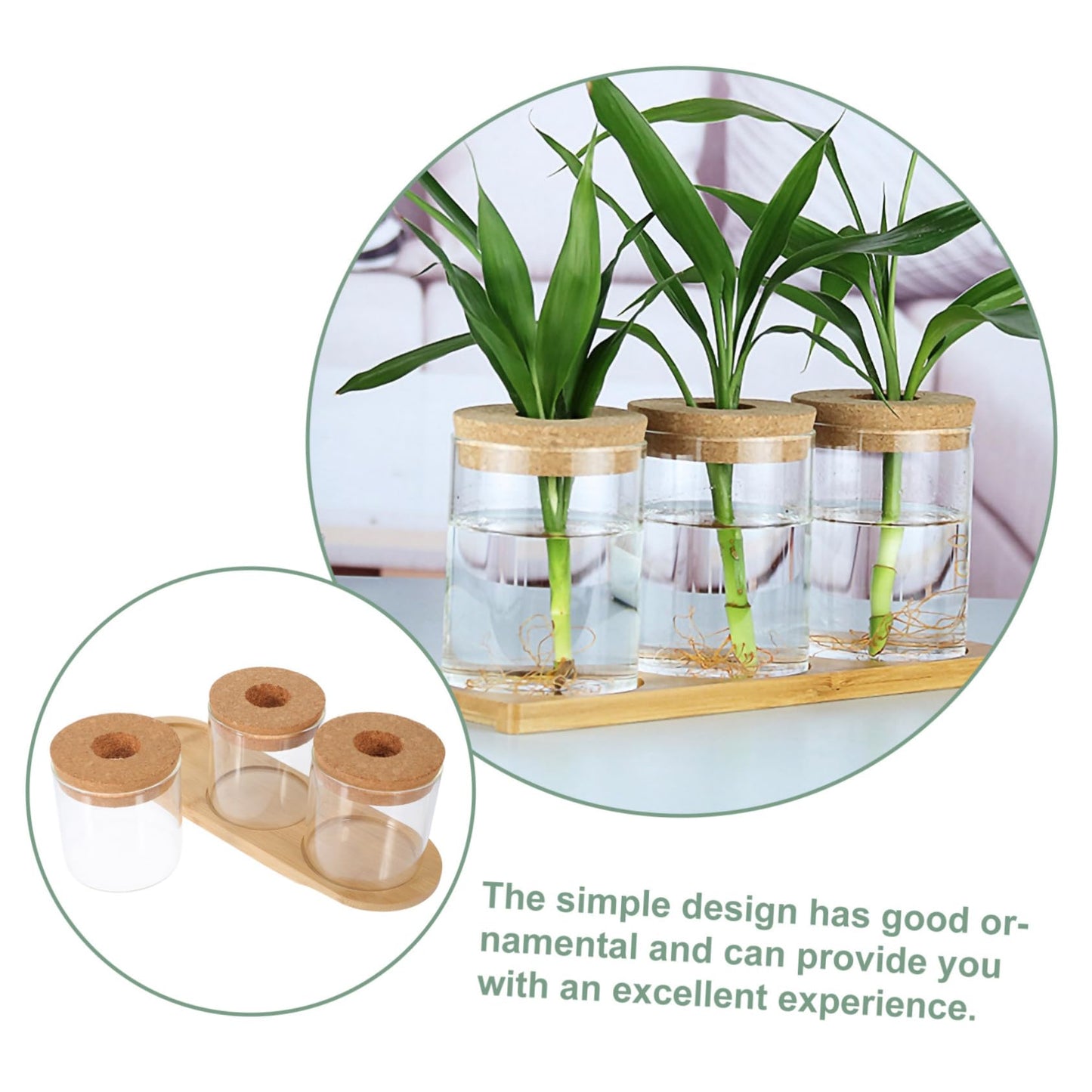 Sosoport Glass Plant Vase for Terrarium Air Plant Holders Houseplants Hydroponics Planting Vase