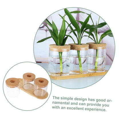 Sosoport Glass Plant Vase for Terrarium Air Plant Holders Houseplants Hydroponics Planting Vase