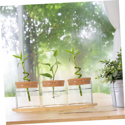 SUPVOX 1Set Hydroponic Indoor Garden Glass Bulb Vases with Stand for Tabletop Plant Terrarium for Home and Office Decoration