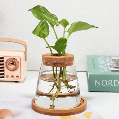 2pcs Glass Plant Propagation Station with Wooden Base Hydroponic Plants Vase for Indoor Decor Glass Terrarium Vase Jars Home Kitchen Decorations and Gifts for Planter Lovers