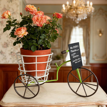 Psdndeww Metal Three Wheel Flower Pots Holder Container for Plant with Drainage Sturdy Construction Easy to Assemble and Maintain Beautiful Iron Tricycle Flower Pots Holder Container