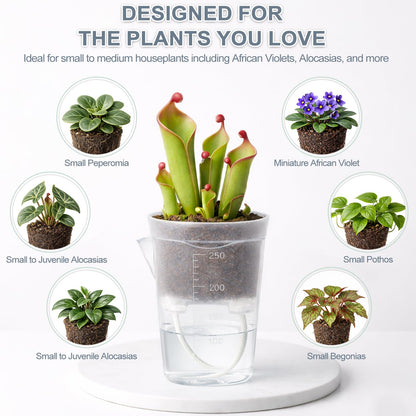 12 Pack 2.5" Small Self Watering Pots for Indoor Plants, Mini Clear Plastic Planters with Water Level & Drainage Holes, 12 Plant Labels, Semi-Hydro Propagation Pots for Succulents, African Violets