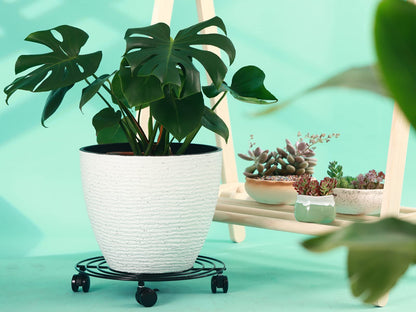 6 Packs 13 Inches Large Metal Plant Caddy with Wheels Rolling Plant Stands Heavy-duty Wrought Iron Plant Roller Base Pot Movers Plant Saucer on Wheels Indoor Outdoor Plant Dolly with Casters Planter Tray