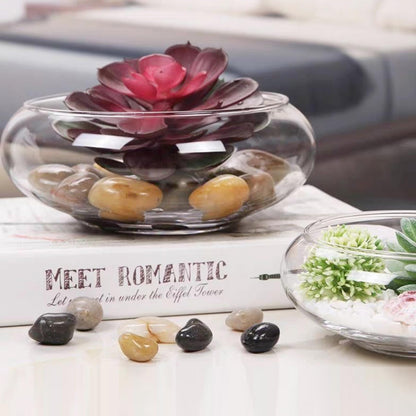 Lotus Bowl Planter Glass Lotus Bowls for Planting in Water Indoors Bonsai Pots No Drainage Hole Hydroponic Aquatic Plants Terrarium Fish Bowls Large