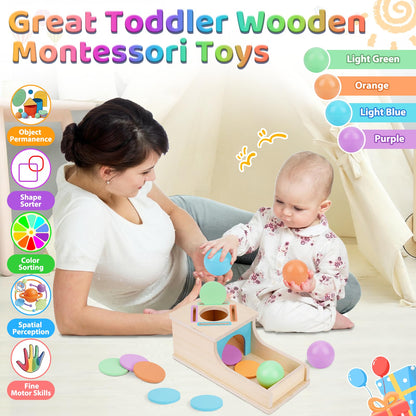 FCSONU Toddlers Montessori Coin Box Toys for 1 2 3 Year Old Boys Girls, Object Permanence Box Ball Drop Toy, Learning Sorting Sensory Toys for Ages 2-3 Kids, 1st Birthday Gifts for Baby 12-18 Months