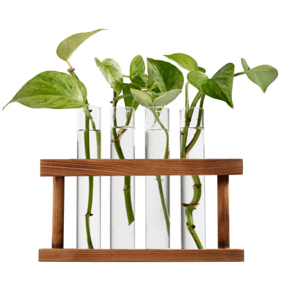 D'Eco Glass Plant Propagation Station (Set of 4 Tubes w Wooden Display) - Grow Hydroponics & Watch Them Grow Roots - Tabletop Vases for Spring Home & Office Decor for Plant Lovers