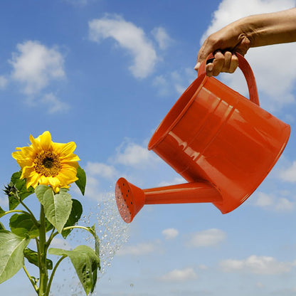 Galvanized Watering Can 1L,Tinplate Watering Kettle with Removable Spout,Garden Decorations,Gardening Tools for Outdoor Indoor Plants Lawn Garden (Orange)