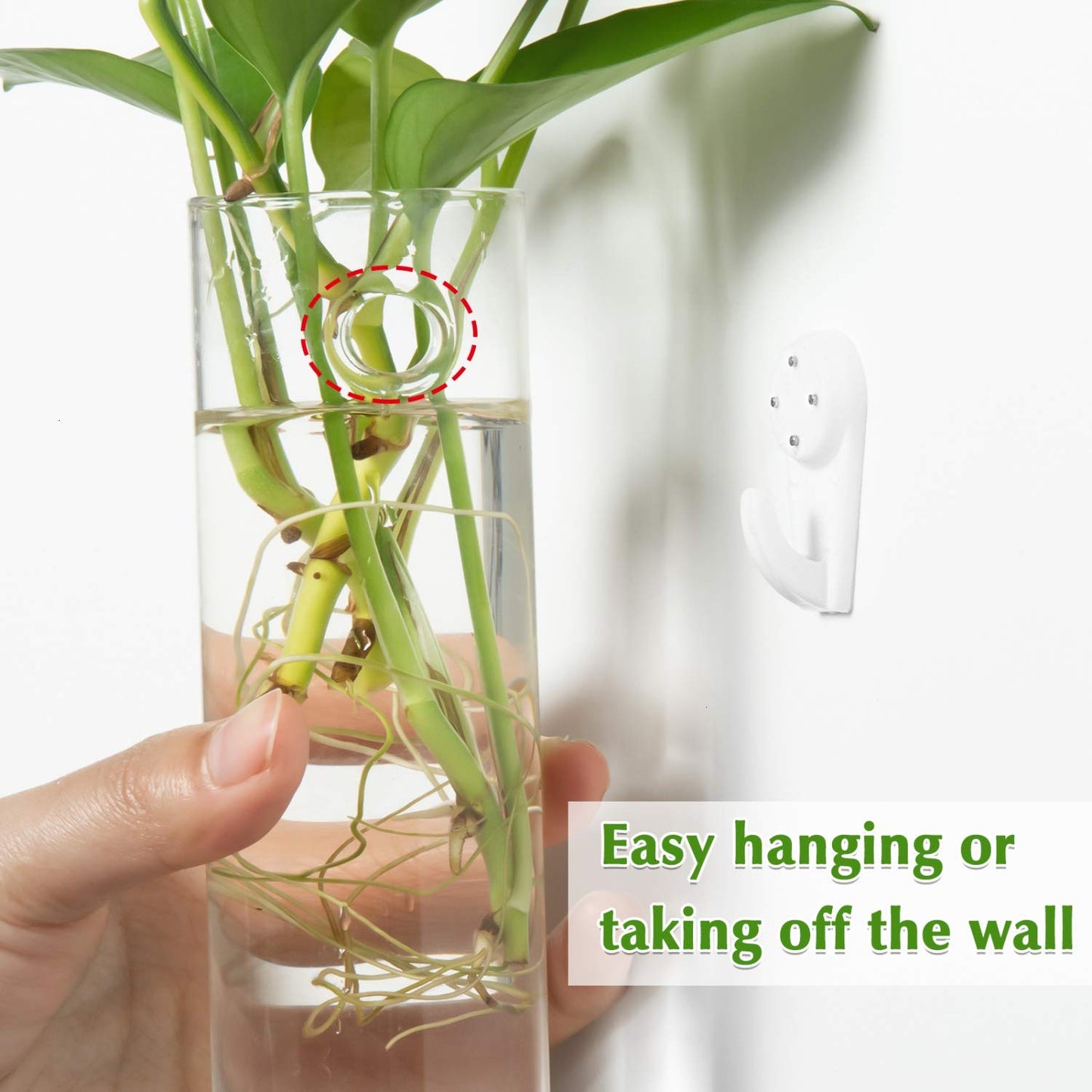 Vumdua 4 Pack Glass Planters, Clear, 5.9 in H x 1.85 in D, Suitable for Most Water Plants, Perfect for DIY Propagation Station, Easy to Install, Elegant and Functional