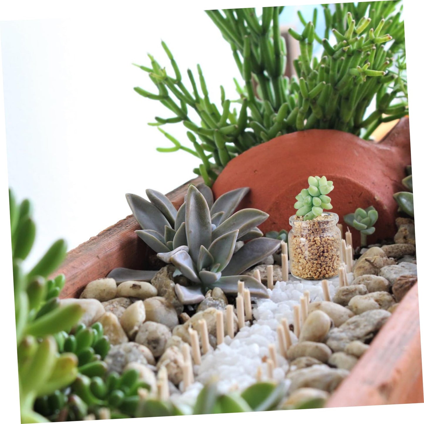 ANDRESLAD 10pcs Miniature Glass Bottles for Succulents Test Tube Vases for Micro Landscape Terrariums for Plant Propagation and Decorative Displays