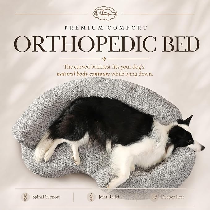 Orthopedic Memory Foam Dog Bed for Medium Sized Dog - Washable & Waterproof & Removable Couch - Round Calming Bed for Anxiety Relief (43 x 29 x 8 Inch)