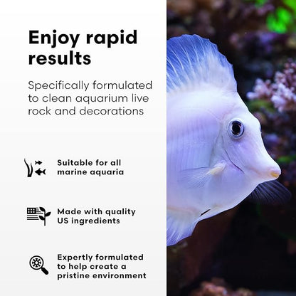 Brightwell Aquatics MicroBacter Clean - Microbial Culture & Enzyme Blend Fish Tank Cleaner - Cleans Live Rock Surfaces for Saltwater Fish Habitats - Aquarium Water Treatments, 33.8 fl oz