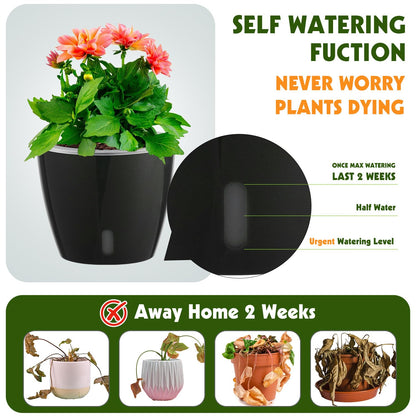 KvyusFlourish Self Watering Pots for Indoor Plants, 6-Pack 5'' Self Watering Planter with Drainage Holes, Small African Violet Pots with Water Indicator, Clear Wick Orchid Pot, Black