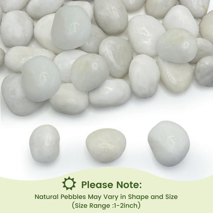 5 lbs White River Rocks, Polished Pebbles for Indoor Plants, 1-2 inch Decorative White Stones for Plants Vase Aquarium Fish Tank and Outdoor Garden Landscaping Rocks