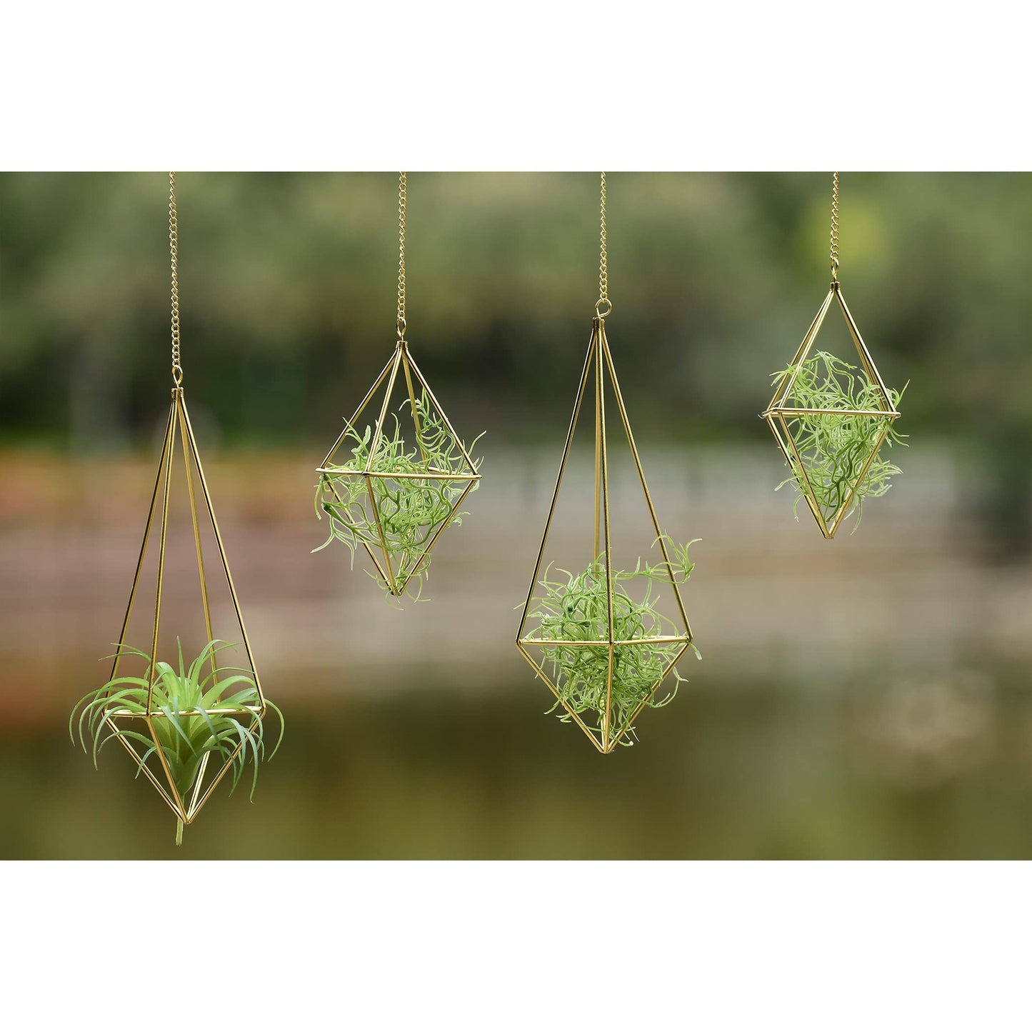 libproqia Air Plants Holders Hanging Airplants Hangers Himmeli Metal Wire 4Pcs Geometric Display Airfens Planter Frame 2 Sizes Tillandsia Holder with Chain and Hooks Decor for Home Office