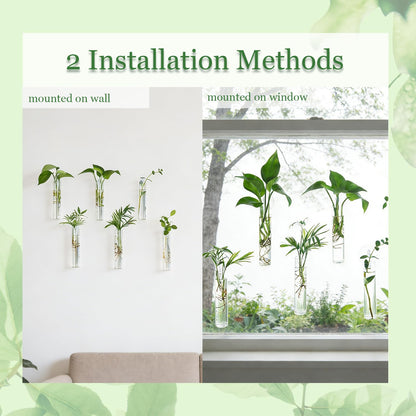 Bunmery 6 pcs Window Propagation Stations, Plant Propagation Tubes with suckion Cups & Nails, Easy to Install Wall Hanging Planter Propagation Station, Glass Plant Terrarium Vase