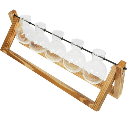 BEBEMOKO Glass Plant Propagation Station with 5 Hydroponic Vases and Wooden Stand, Glass Flower Vase Set for Desktop Indoor Plant Terrarium and Home Décor