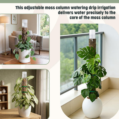 SiliFine 6 Pcs Moss Pole Watering Dripper Adjustable Self Watering Planter Insert with Flow Control Long Lasting Moisture Consistent Dripper Spike with Transparent Reservoir for Monstera Epipremnum