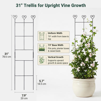 2 Pack 30'' Plant Trellis for Climbing Plants Indoors, Metal Garden Trellis for Potted Houseplant, Rustproof Plant Support for Ivy, Vines, Pothos, Hoya and Flower, Black