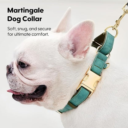 WHIPPY Vegan Leather Dog Collar No Slip Martingale Dog Collar with Quick Release Metal Buckle for Large Medium Small Dogs,Green