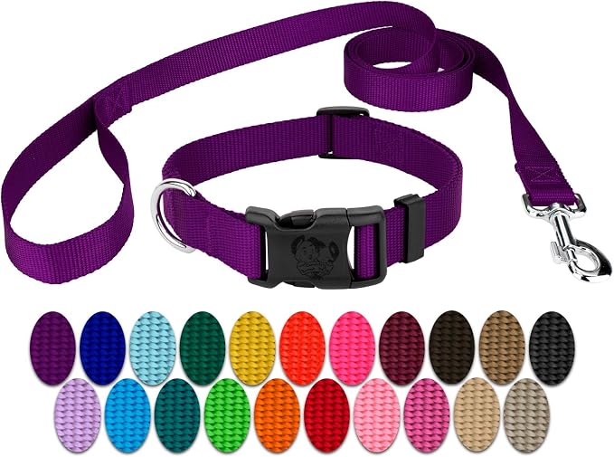 Country Brook Petz - Everyday Nylon Dog Collar and Leash - 10+ Cool Colors (3/8 Inch, Extra Small, Purple)