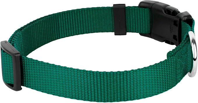 Country Brook Petz - Everyday Nylon Dog Collar and Leash - 10+ Cool Colors (1 Inch, Extra Large, Green)