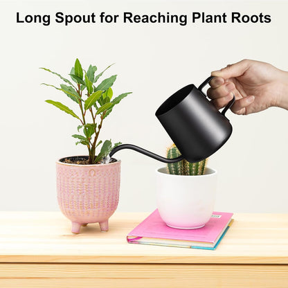 Lizhluzh 12 oz / 350 ml Small Watering Can Indoor Plants, Stainless Steel Plant Watering Can with Long Spout (Black) (12oz)