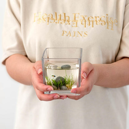 Set of 6 Square Glass Vases for Centerpieces – 4" x 4" x 4" Clear Short Vases, Flower Vase, Plant Terrariums, or Candle Holders for Wedding Centerpieces, Office Decor, Home Décor, Parties