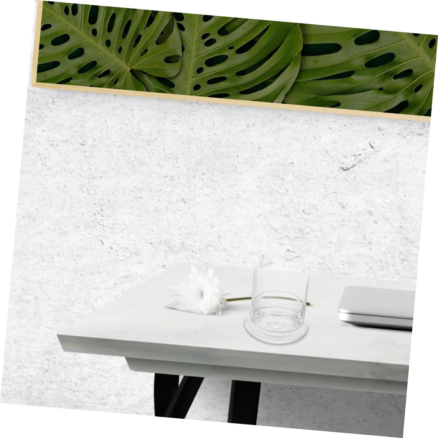 SAFIGLE Glass Plant Terrarium Eco Bottle DIY Moss Jar Home Decor Study Room Accessory