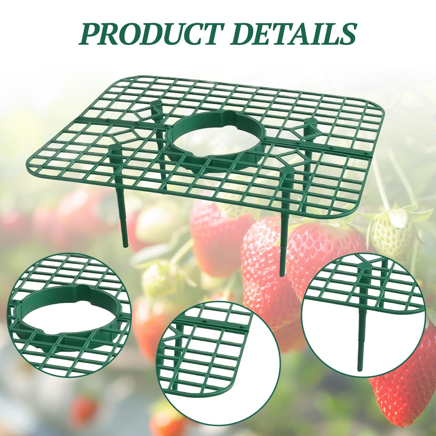 Richaa 10 Pcs Square Strawberry Plant Support, Strawberry Plants Holder with 4 Legs, Strawberry Plant Protector for Garden Growing Kit
