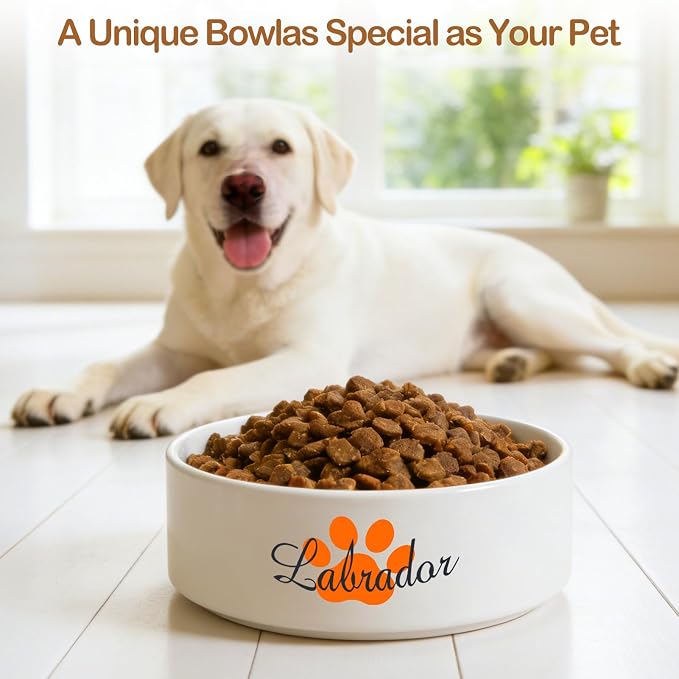 2 Pack Custom Ceramic Dog Bowl, Personalized Food & Water Dish with Photo Name, Cat and Dog Food Bowl with Wood Stand Non-Slip Matte Glaze Weighted