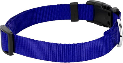 Country Brook Petz - Everyday Nylon Dog Collar and Leash - 10+ Cool Colors (3/4 Inch, Small, Bright Royal Blue)