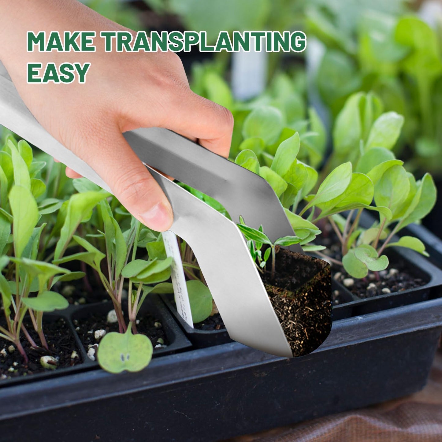 2 Pcs Seedling Transplant Tongs, 8.85 Inch Stainless Steel Gardening Plants Transplant Tongs Seed Planting Tool Seedling Remove Transplant Tongs for Reducing Root Damage (2 Pcs, 8.85 inch)