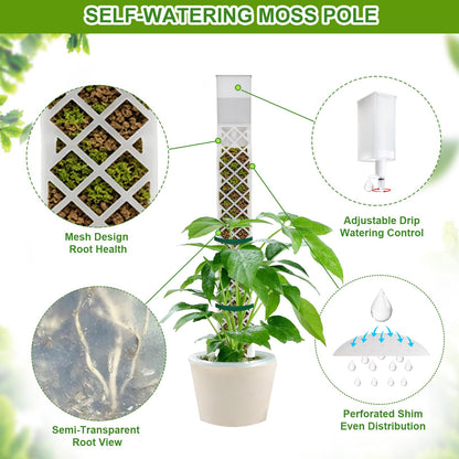 GJL Stackable D Shape Self Watering Moss Pole for Monstera,Plastic Sphagnum Moss Pole with Watering Dripper, Indoor Climbing Plant Support for Pothos & Philodendron