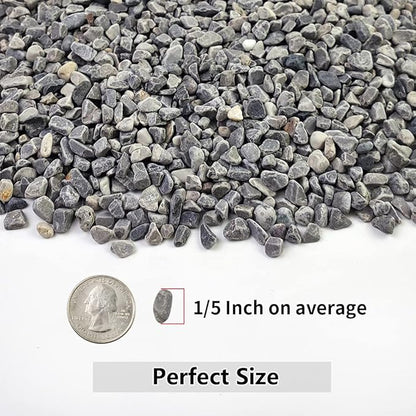 YISZM 5LB Succulent and Cactus Gravel Pebbles, 1/5 Inch Natural Decorative Polished Stones, River Rocks for Plants, Vases, Aquariums, Terrarium and Outdoor Gardening,Grey