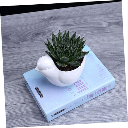 Kisangel Ceramic Flower Pot Succulent Plant Container White Large Bird Shape with Saucer Indoor Desktop Decor for Home Gardening