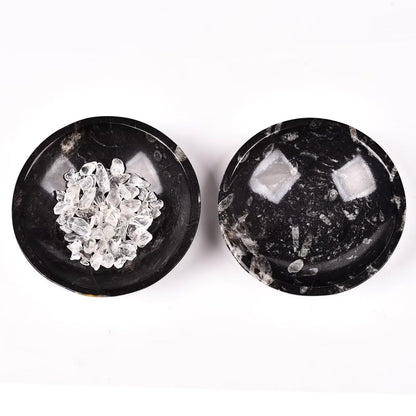 AMOYSTONE Natural Orthoceras Fossil Stone Bowl Round Shaped 4" Rock Bowl