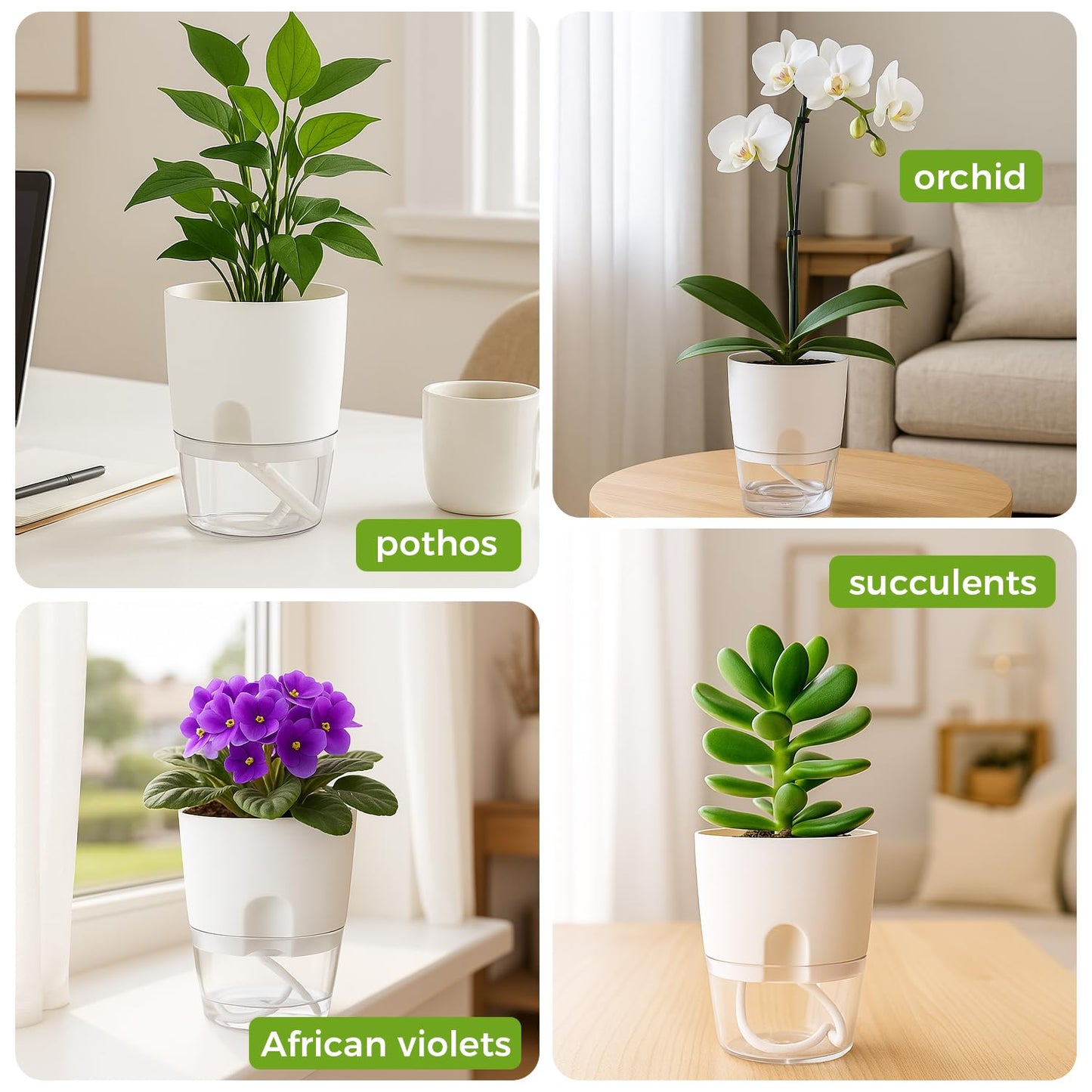 8 Pack Self Watering Pots for Indoor Plants, PlanterHoma 3.2 Inch Plant Pot Plastic Self Watering Planter for Orchid, African Violet, Mini Clear Flower Pots with Drainage Holes and Wicking Rope, White