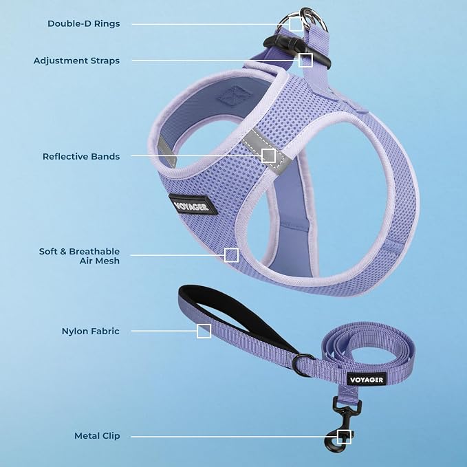 Best Pet Supplies Voyager Step-in Air All Weather Mesh Harness and Reflective Dog 5ft Leash Combo with Neoprene Handle, for Small, Medium and Large Breed Puppies - Lavender, M
