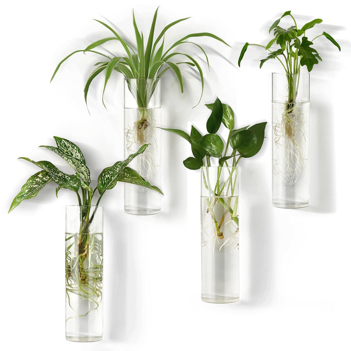 Mkono Propagation Station Wall Planter Hanging Glass Tubes Flower Vase for Hydroponics Plants, Bathroom, Home Office Living Room Decor Gift, Cylinder Set of 4(Plants not Included)