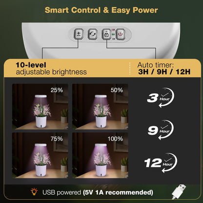 Raygrov Self-Watering Planter with Grow Light, Smart Indoor Pot for Venus Fly Trap, Carnivorous Plants, African Violet, Cat Grass, Catnip & Herbs, 2-in-1 Wall + Desktop, USB 5W Full Spectrum LED