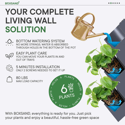 BOXSAND-6 Vertical Wall Planter (12"x26", Black, No Pots) – Living Wall for 6 Plants, Indoor/Outdoor Vertical Garden System, Easy 2-Screw Install