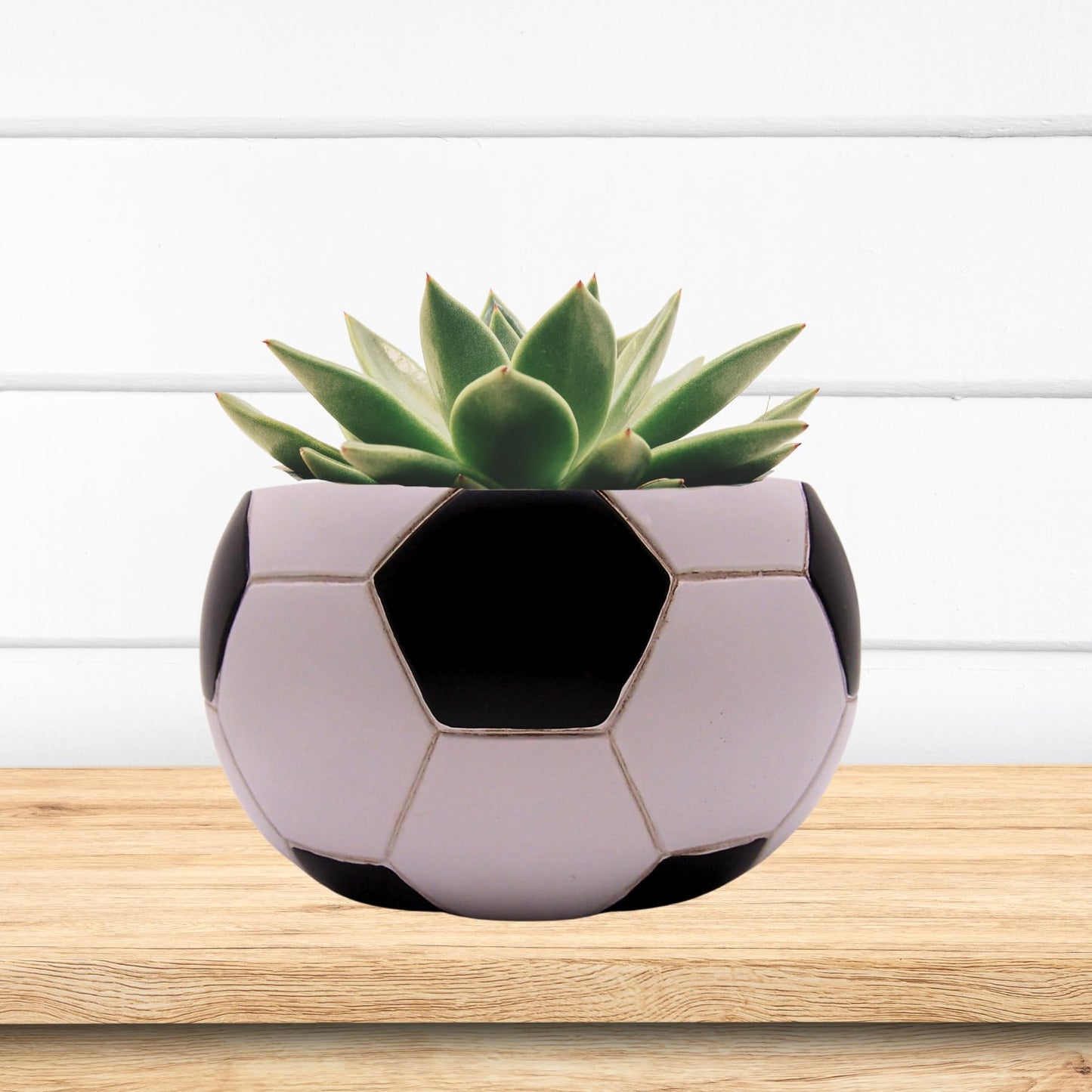 Wowser Soccer Ball Shaped Planter Pot, Home & Garden Decor, Sports Theme Planter, 6.5 Inches