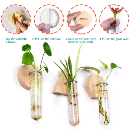 MITIME Wall Hanging Planter Glass Plant Propagation Station,Geometric Wooden Stand for Home Office Decoration.
