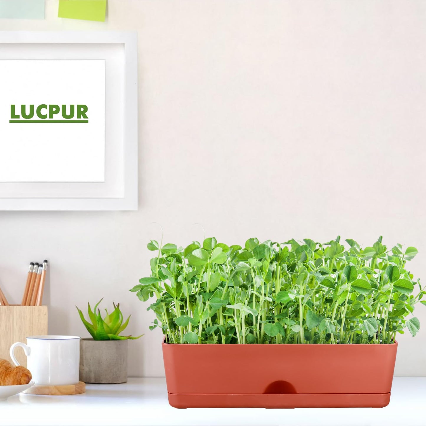 2-Pack Large Window Boxes Planters 16 Inch Rectangle Plant Box Rectangular Plant Pots for Outdoor and Indoor Plants Plastic Windowsill Planters for Herbs Vegetable Flowers Long Window Sill Plant Box
