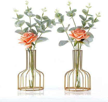 Ivymei 2 Pack Table Flower Vase,Gold Geometric Metal Frame Clear Glass Tube Bud Vase Hydroponic Plants,Gold Vase Decorative for Flower,Weddings,Centerpiece,Party,Home(Gold 8)