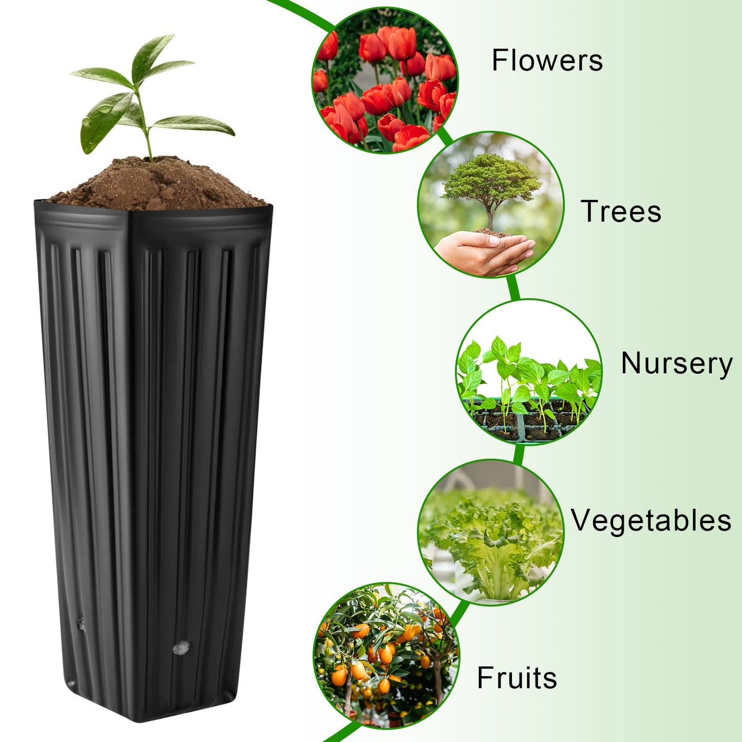 Nuenen 100 Pcs Tall Tree Pot Plastic Deep Plant Nursery Pots Black Seedling Treepots Flower Plant Container with Drainage Holes for Indoor Outdoor Gardening (11.8" H X 3.9" W)