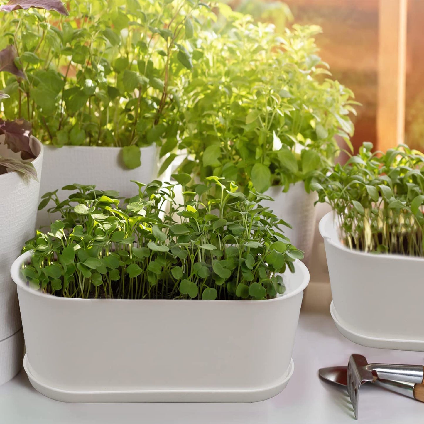 SORANGEUN 10-Pack White Herb Planter Box with Drip Trays, 8.5 Inch Small Oval Window Planters for Kitchen Sill, Indoor Outdoor, Perfect for Basil, Mint, Succulents, Flowers